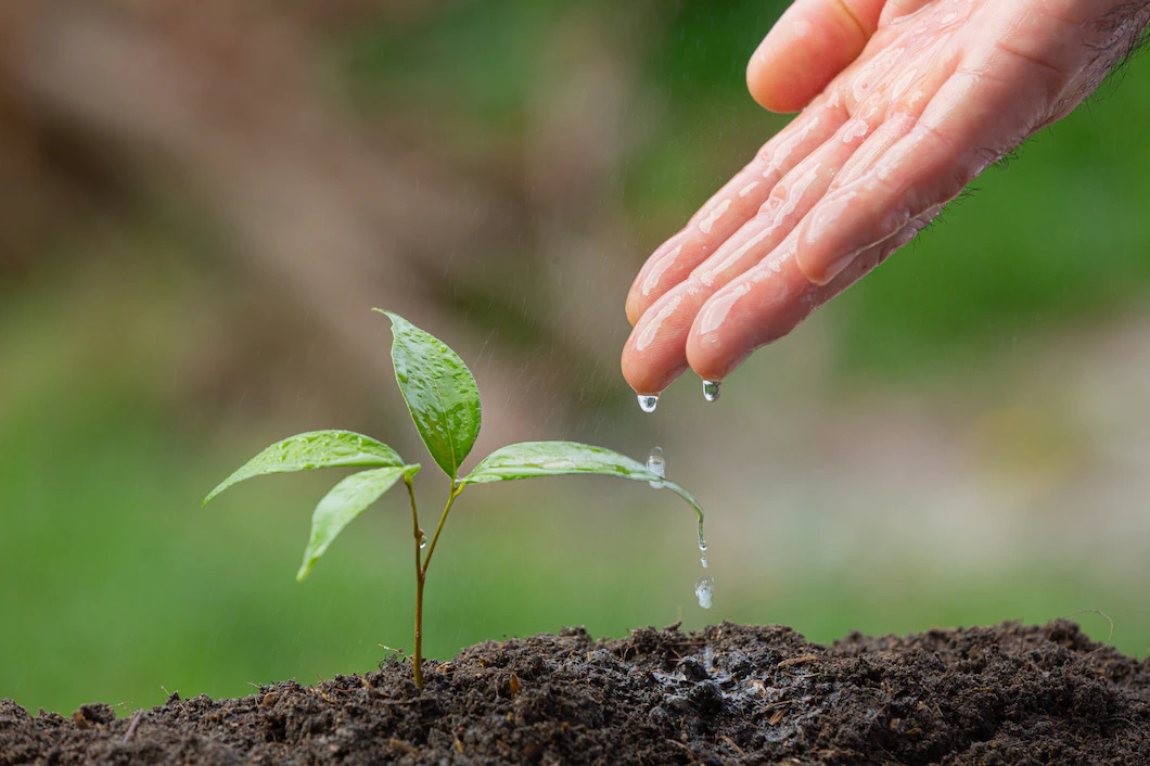 cerrar-imagen-mano-regando-retono-planta