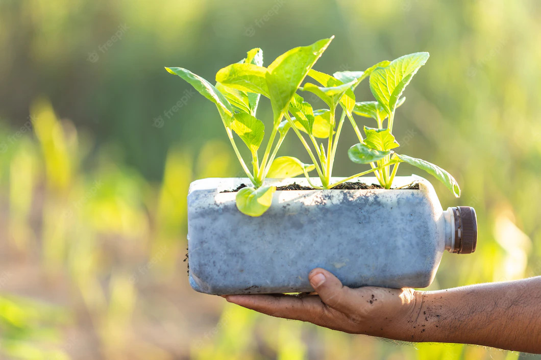 gente-plantando-vegetales-botella-plastico