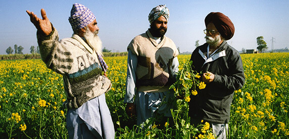 farmers