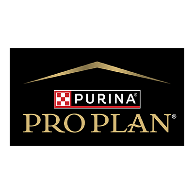 Pro Plan