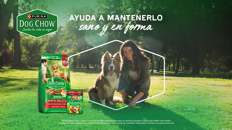 Dog Chow | Nutrición Completa para Perros