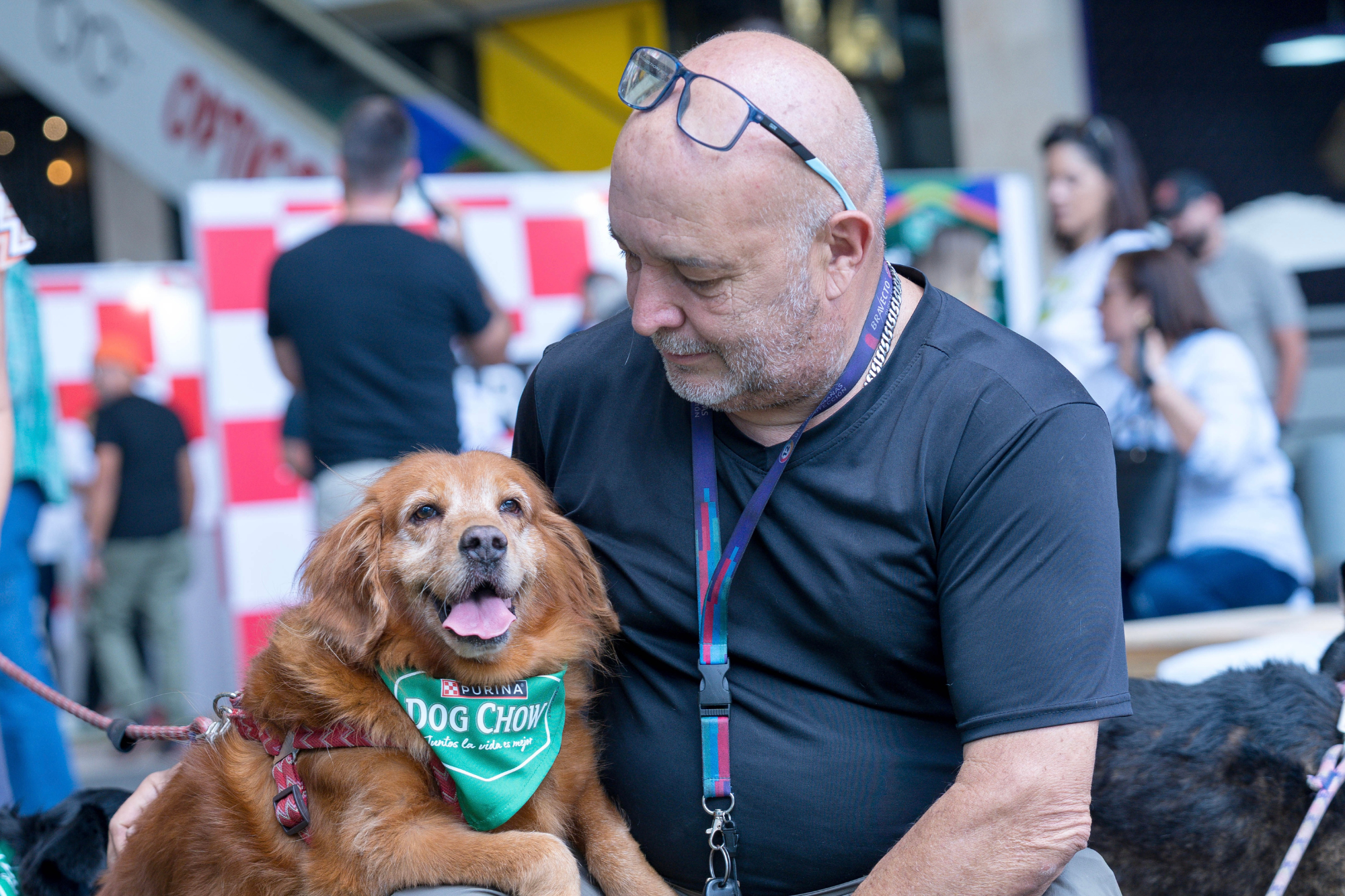 Pet-weekend-purina-dog-chow