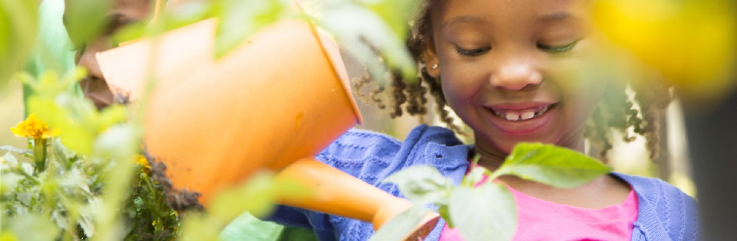 960x382_growing-veggies-with-kids-banner_0