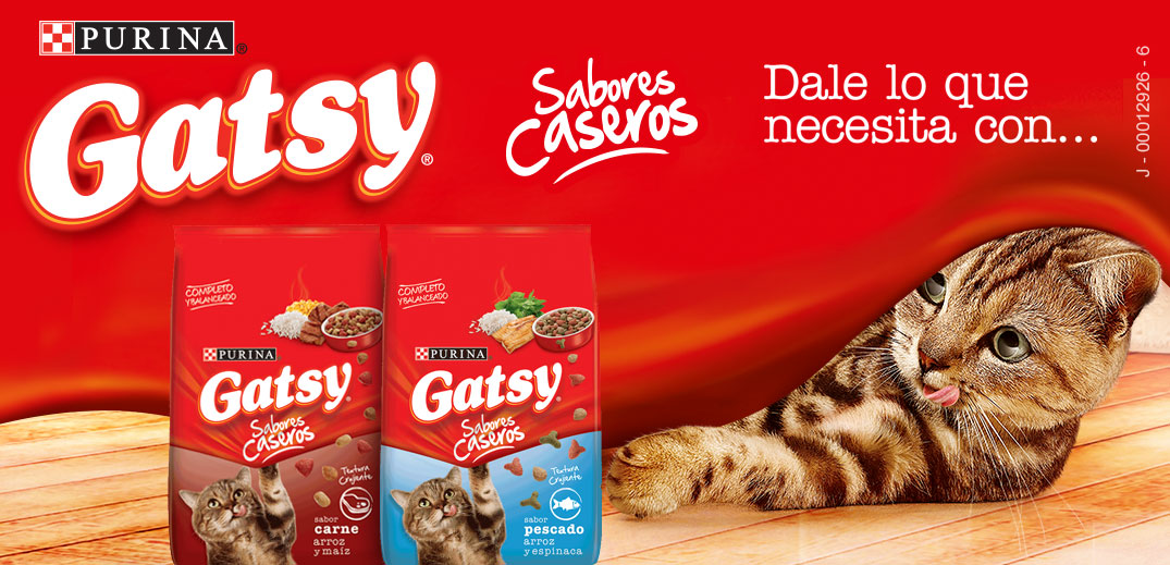 Gatsy