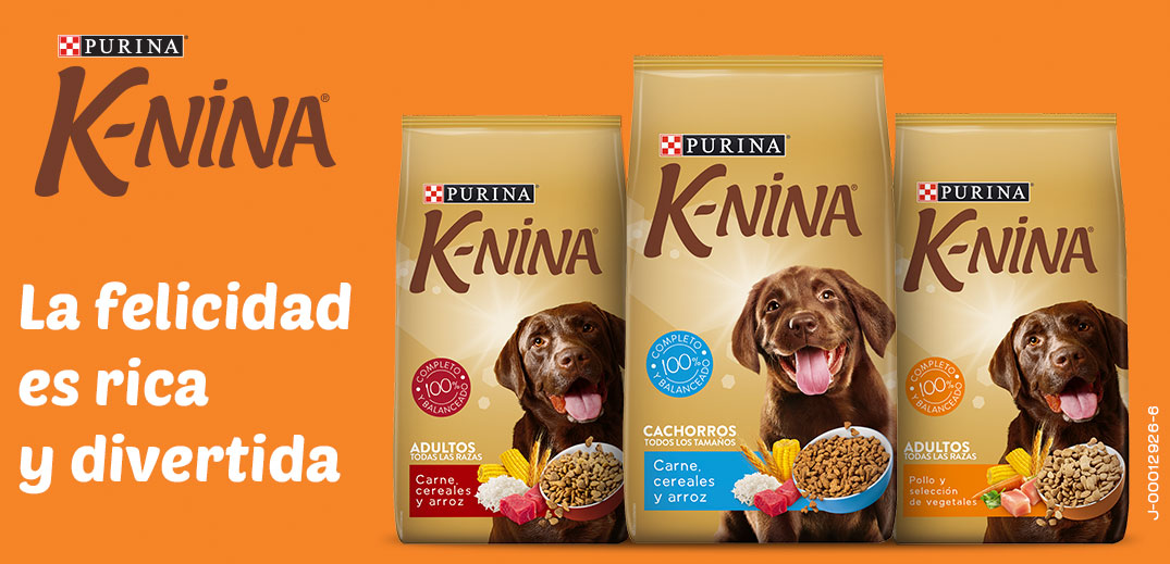 Alimento para Perros