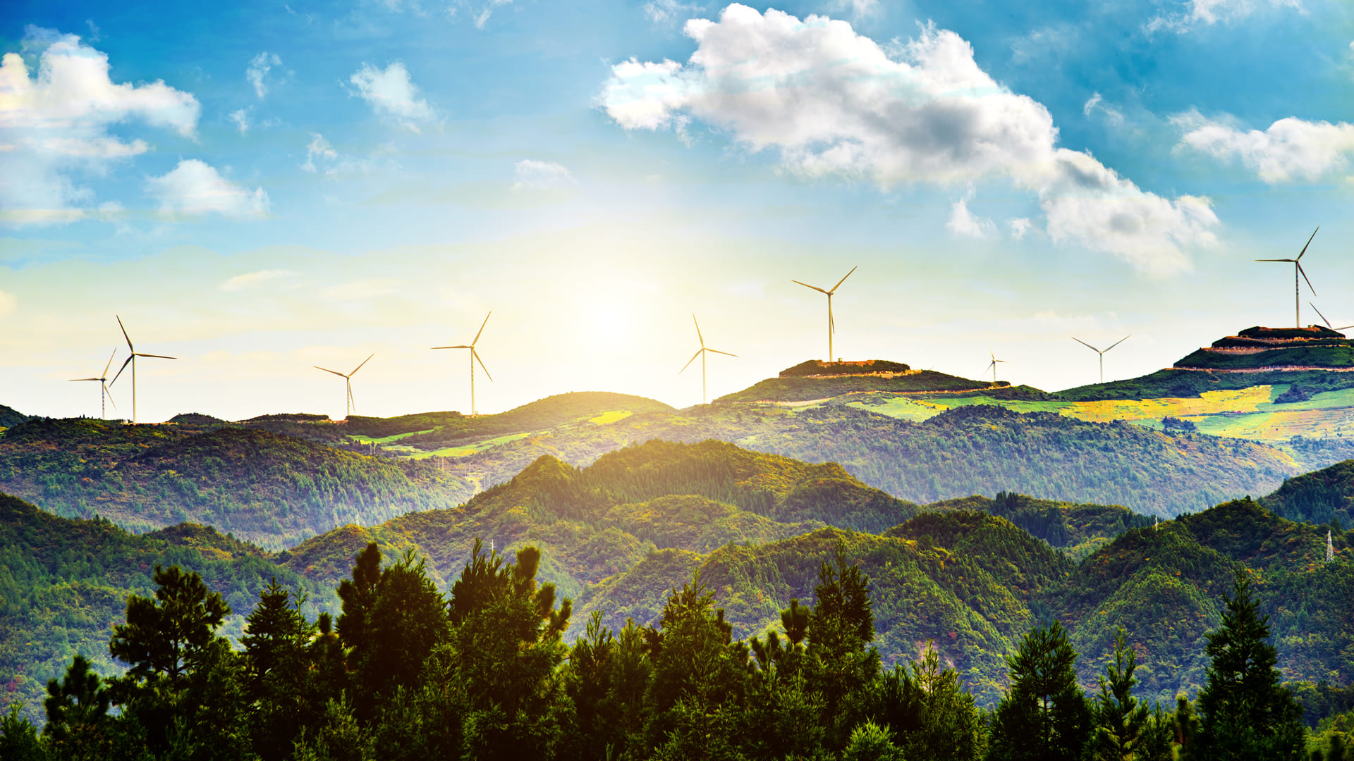 banner-ecologia-y-medioambiente
