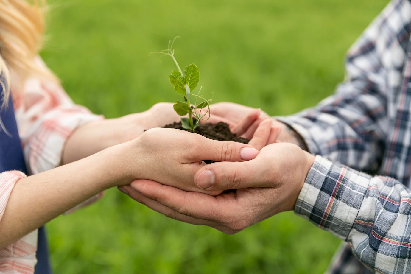 close-up-couple-with-plant