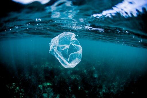 Consecuencias del cambio climático en el mar Consecuencias del cambio climático en el mar