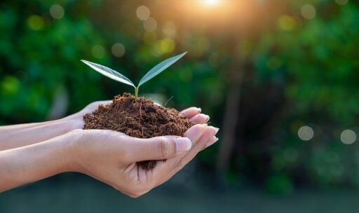 Mujer teniendo una planta con tierra Mujer teniendo una planta con tierra