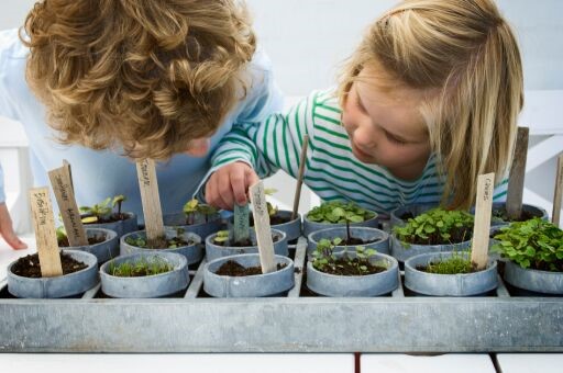 Niños sembrando plantas Niños sembrando plantas