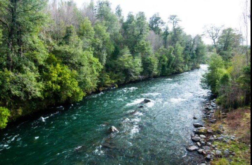 Río rodeado de árboles y piedras Río rodeado de árboles y piedras