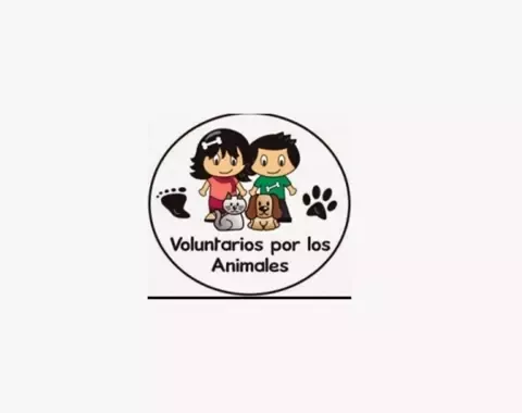 voluntarioxanimales