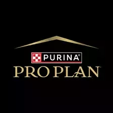 Pro plan black