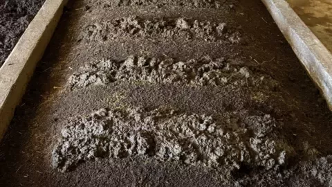 desarrollo agricola e industrial 1