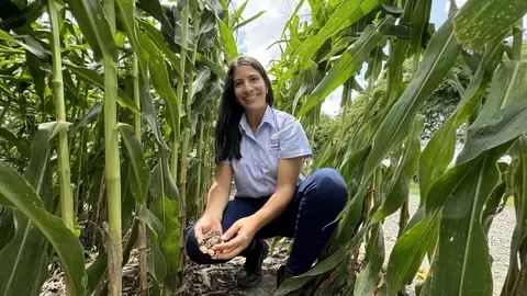 desarrollo agricola e industrial 1