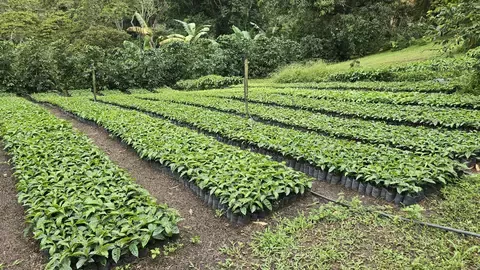cultivando con respeto 1