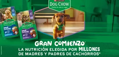 Purina Gran Comienzo
