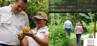 nestle agricultura regenerativa