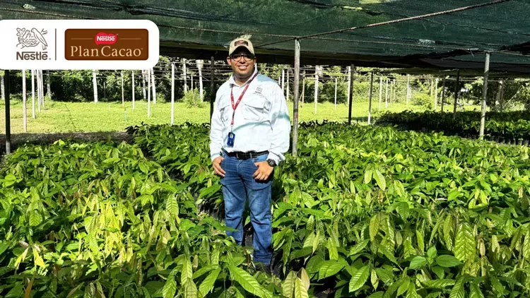 Plan Cacao Nestlé