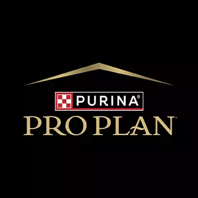 Pro plan black