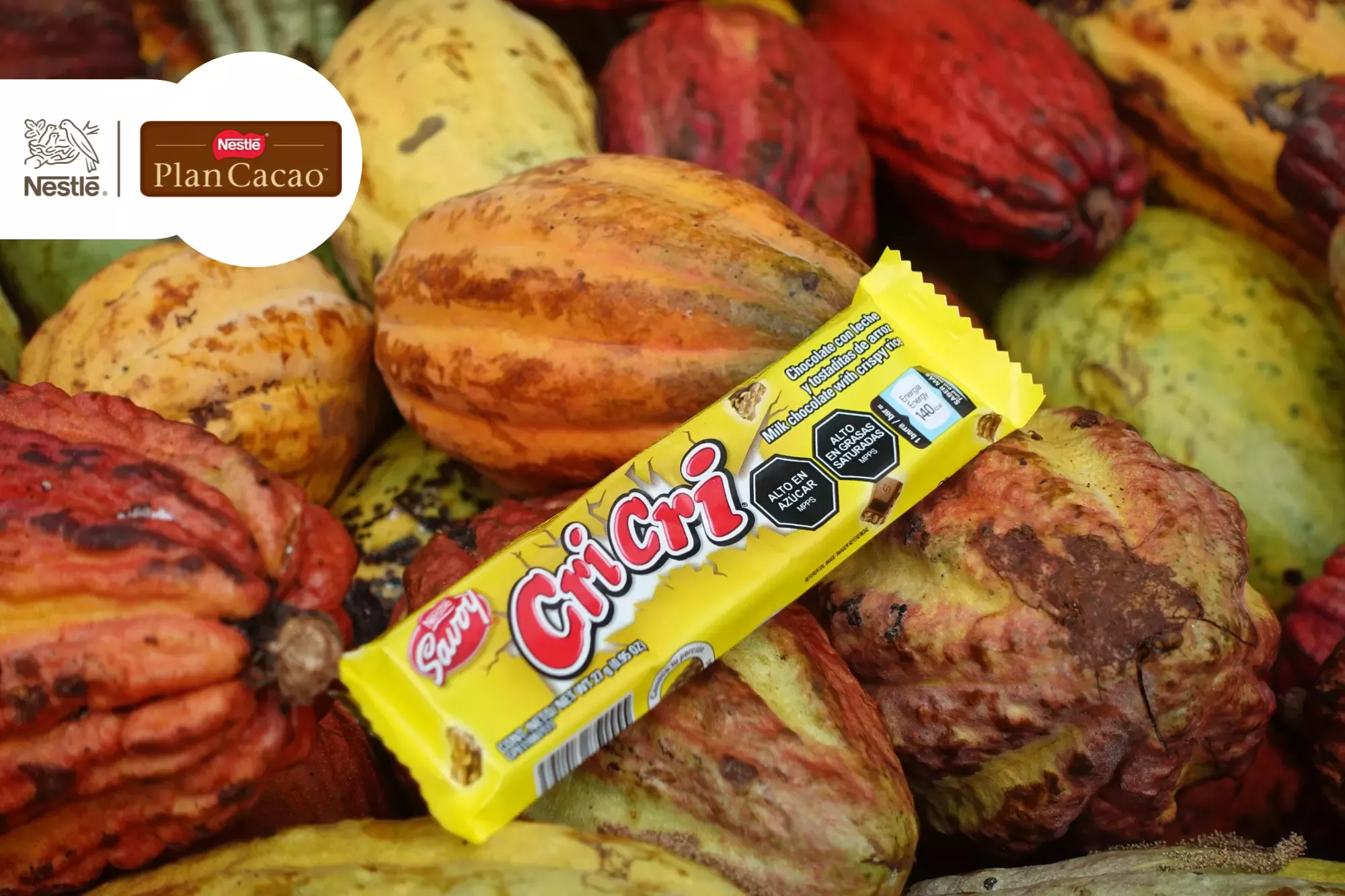 Plan cacao - Savoy