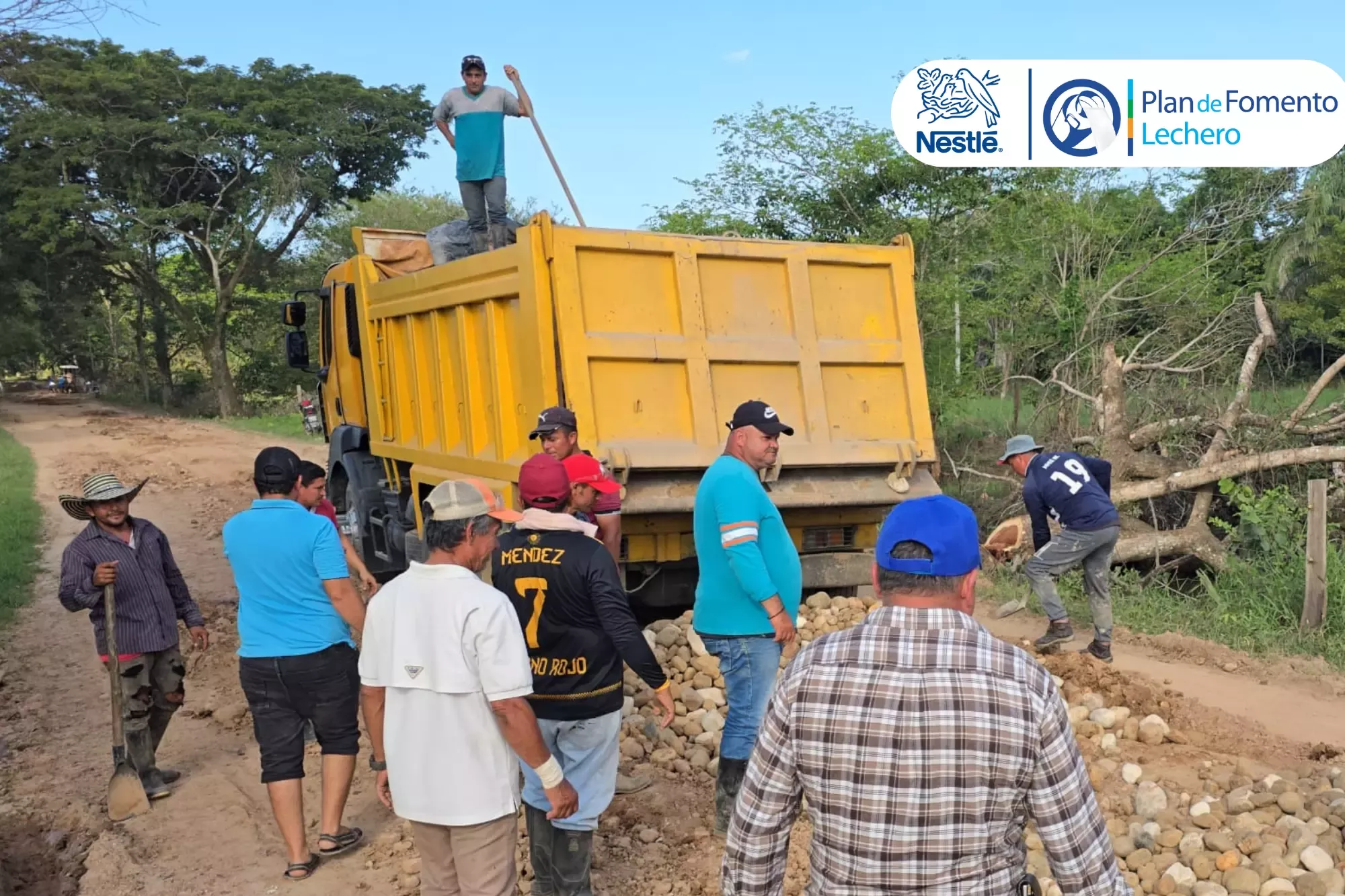 nestle venezuela - viabilidad barinas