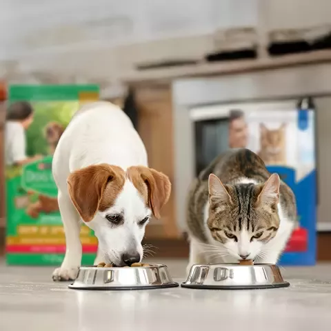 CUIDADO DE MASCOTAS