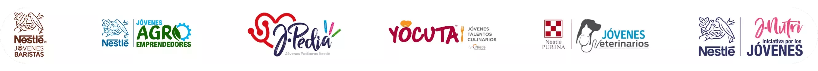Iniciativa por los Jóvenes