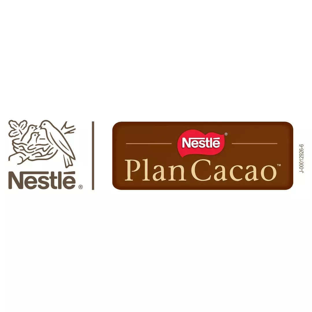 Plan cacao